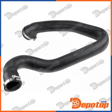 Gaine de suralimentation pour RENAULT | GPP-RE-138, 18-1237
